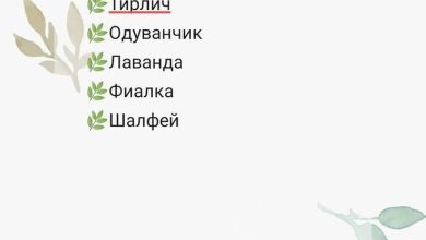 Photo of Травы и зелья для здоровья