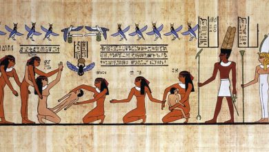 Photo of Медицинские знания в Египте