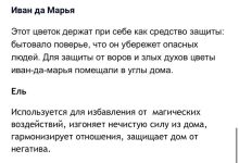 Photo of Магические свойства растений