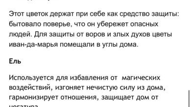 Photo of Магические свойства растений