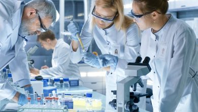 Photo of Биотехнологии в медицине и фармацевтике