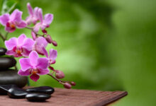 Photo of Рекомендации по снятию напряжения