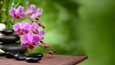 Photo of Рекомендации по снятию напряжения